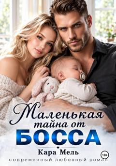 Кара Мель Маленькая тайна от Босса