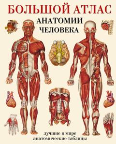 Группа авторов Большой атлас анатомии человека. Лучшие в мире анатомические таблицы