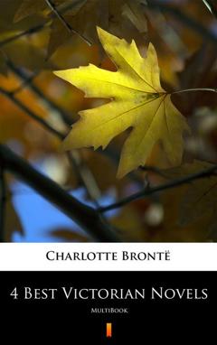 Шарлотта Бронте 4 Best Victorian Novels
