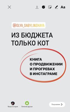 Оля Сабылинская Из бюджета только кот. Книга о продвижении и прогревах в инстаграме