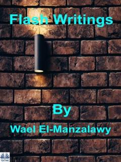 Wael El-Manzalawy Flash Writings