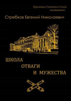 Евгений Николаевич Стребков Школа отваги и мужества. Книга 1