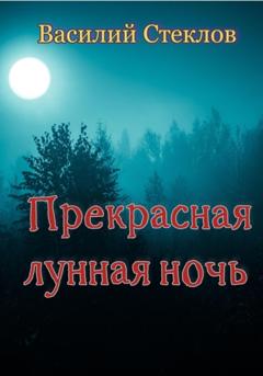 Василий Стеклов Прекрасная лунная ночь