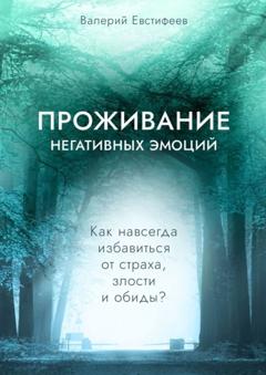 Валерий Евстифеев Проживание негативных эмоций. Как навсегда избавиться от страха, злости и обиды?