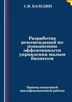 Сергей Каледин Разработка рекомендаций по повышению эффективности управления малым бизнесом
