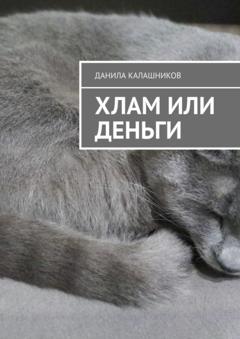 Данила Калашников Хлам или деньги
