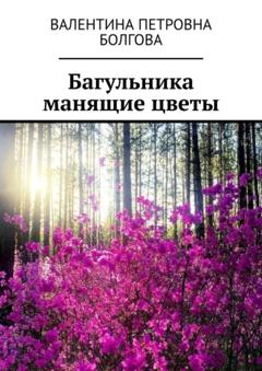 Валентина Петровна Болгова Багульника манящие цветы