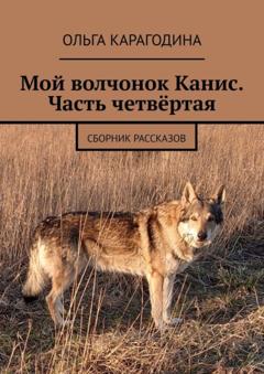 Ольга Карагодина Мой волчонок Канис. Часть четвёртая. Сборник рассказов