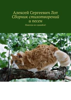 Алексей Сергеевич Лот Сборник стихотворений и песен. Никогда не сдавайся!