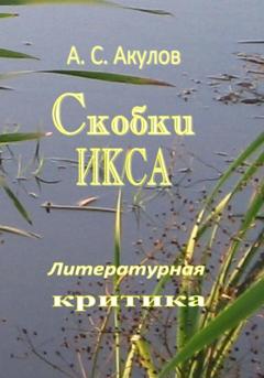 Александр Сергеевич Акулов Скобки икса. Литературная критика