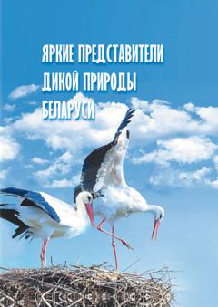 Коллектив авторов Яркие представители дикой природы Беларуси