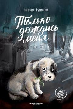 Обложка книги «Только дождись меня» — Евгения Русинова