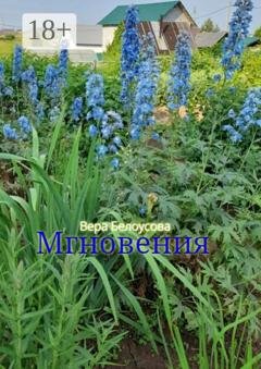 Обложка книги «Мгновения» — Вера Белоусова