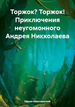 Обложка книги «Торжок? Торжок! Приключения неугомонного Андрея Никколаева» — Ефрем Новоторжский