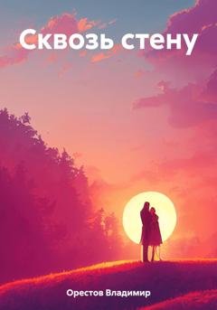 Обложка книги «Сквозь стену» — Владимир Орестов
