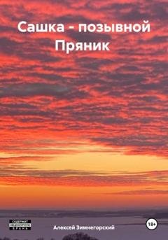 Обложка книги «Сашка – позывной Пряник» — Алексей Зимнегорский