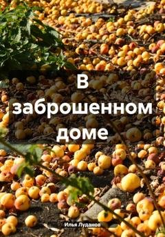 Обложка книги «В заброшенном доме» — Илья Луданов Луданов