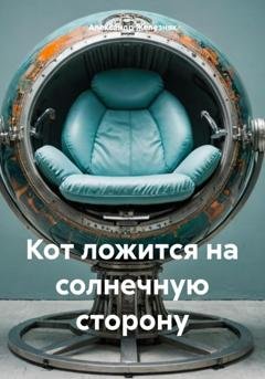 Обложка книги «Кот ложится на солнечную сторону» — Александр Железняк