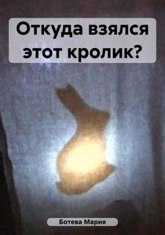 Обложка книги «Откуда взялся этот кролик?» — Мария Ботева