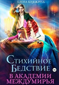 Обложка книги «Стихийное бедствие в Академии Междумирья» — Елена Княжина