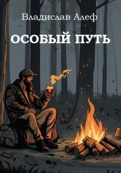 Обложка книги «Особый путь» — Владислав Алеф