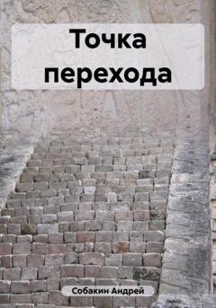 Обложка книги «Точка перехода» — Андрей Собакин