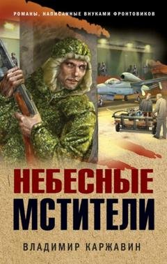 Обложка книги «Небесные мстители» — Владимир Каржавин
