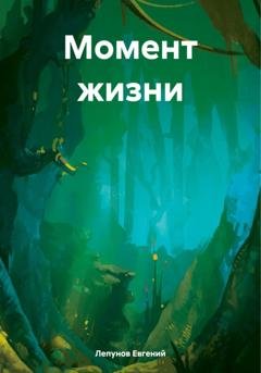 Обложка книги «Момент жизни» — Лепунов Евгений