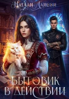 Обложка книги «Бытовик в действии» — Натали Лансон