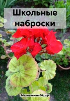 Обложка книги «Школьные наброски» — Фёдор Иванович Малеванкин