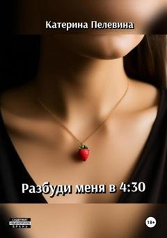 Обложка книги «Разбуди меня в 4:30» — Катерина Пелевина