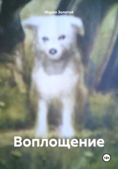 Обложка книги «Воплощение» — Марио Золотой