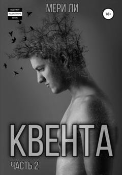 Обложка книги «Квента. Остров Избранных» — Мери Ли