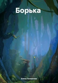 Обложка книги «Борька» — Елена Толмачева