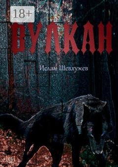 Обложка книги «Вулкан» — Ислам Рахмедович Шевхужев