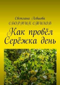 Обложка книги «Как провёл Серёжка день» — Светлана Левшова