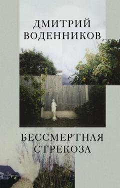 Обложка книги «Бессмертная стрекоза» — Дмитрий Воденников