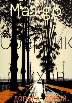 Обложка книги «Дорога домой» — Майго