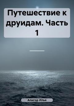 Обложка книги «Путешествие к друидам. Часть 1» — Илья Алигор