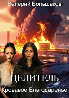 Обложка книги «Целитель. Кровавое Благодаренье» — Валерий Большаков