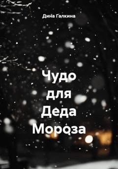 Обложка книги «Чудо для Деда Мороза» — Дина Сергеевна Галкина