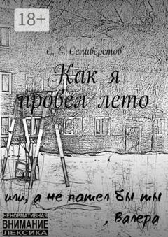 Обложка книги «Как я провел лето» — С. Е. Селивёрстов