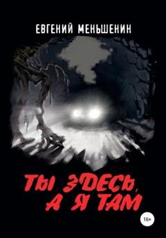 Обложка книги «Ты здесь, а я там» — Евгений Меньшенин