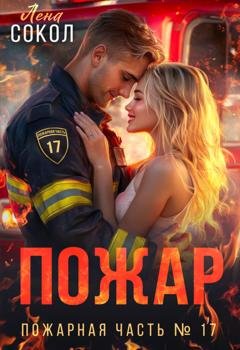 Обложка книги «Пожар» — Лена Сокол