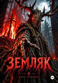 Обложка книги «Земляк» — Макс Воронов