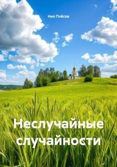 Обложка книги «Неслучайные случайности» — Нил Плёсов