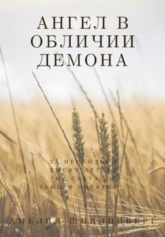 Обложка книги «Ангел в обличии демона» — Амелия Шпилцпберг