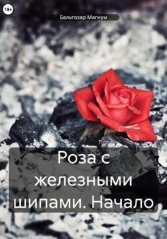 Обложка книги «Роза с железными шипами: Начало» — Бальтазар Магнум
