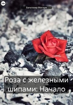 Обложка книги «Роза с железными шипами: Начало» — Бальтазар Магнум