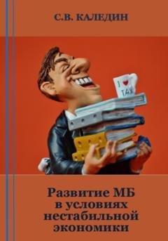 Обложка книги «Развитие МБ в условиях нестабильной экономики» — Сергей Каледин